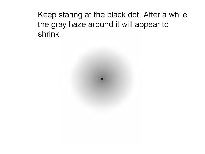 opt5.jpg (17182 Byte)